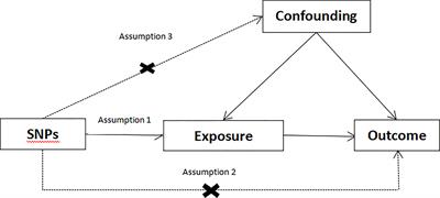 Causal association between celiac disease and inflammatory bowel disease: A two-sample bidirectional Mendelian randomization study